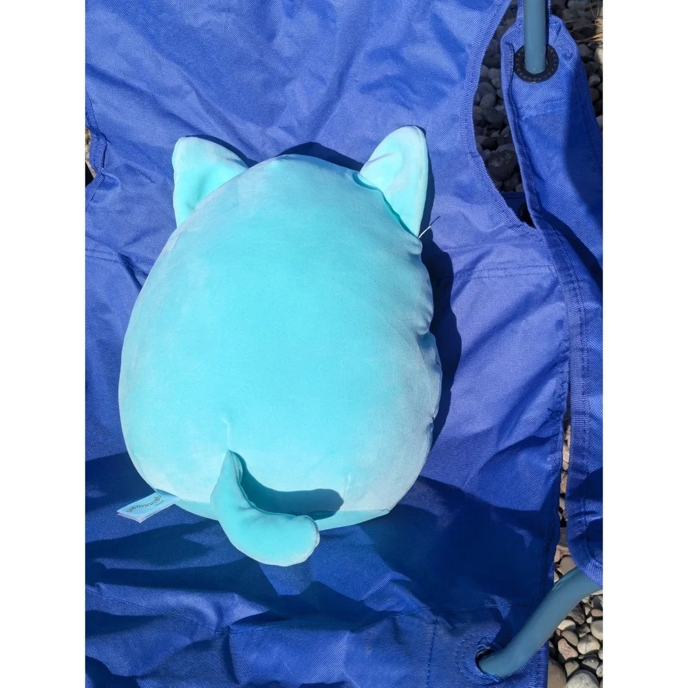 Rare Charisma Cat Valentines Squishmallow 12